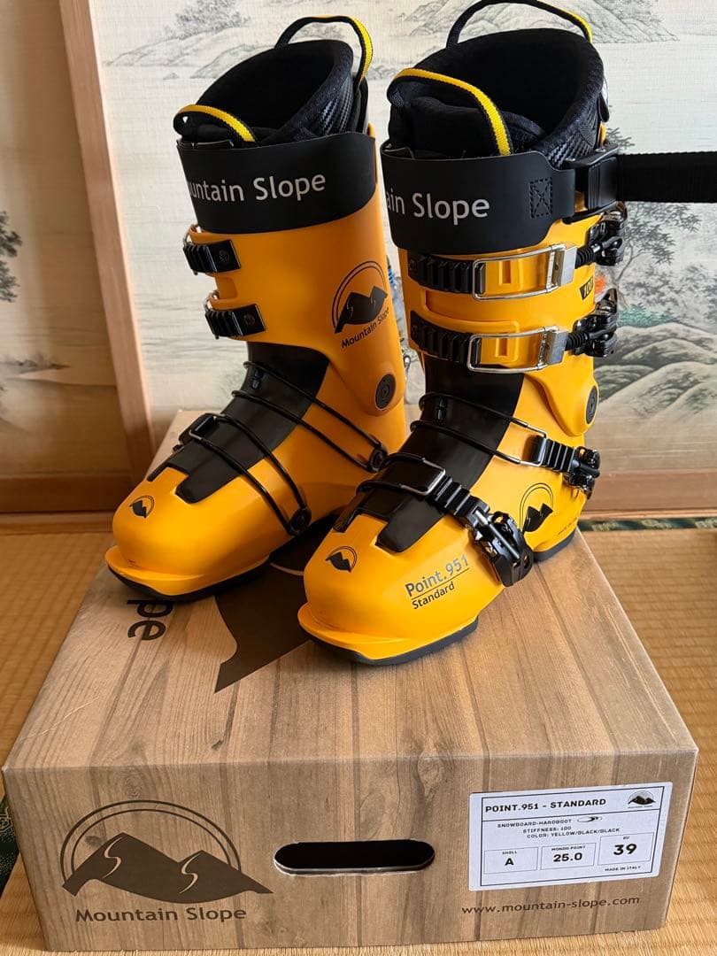 スキー Mountain Slope