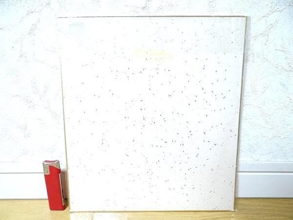 新品 70年代 全日本女子プロレス ジャッキー佐藤 美しい決意 プリントサイン