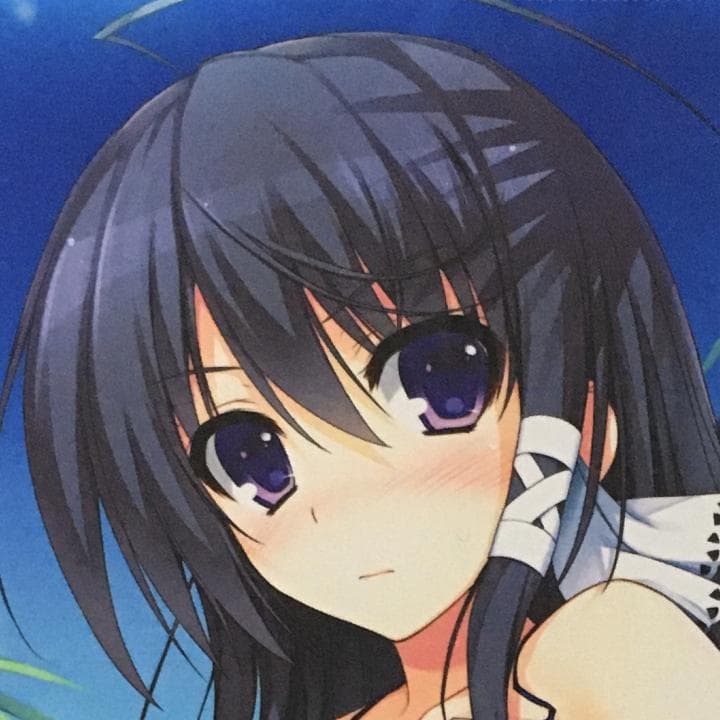 レミニセンス 水野凛 激レアセット (Tシャツ 抱き枕 CD タペストリー)