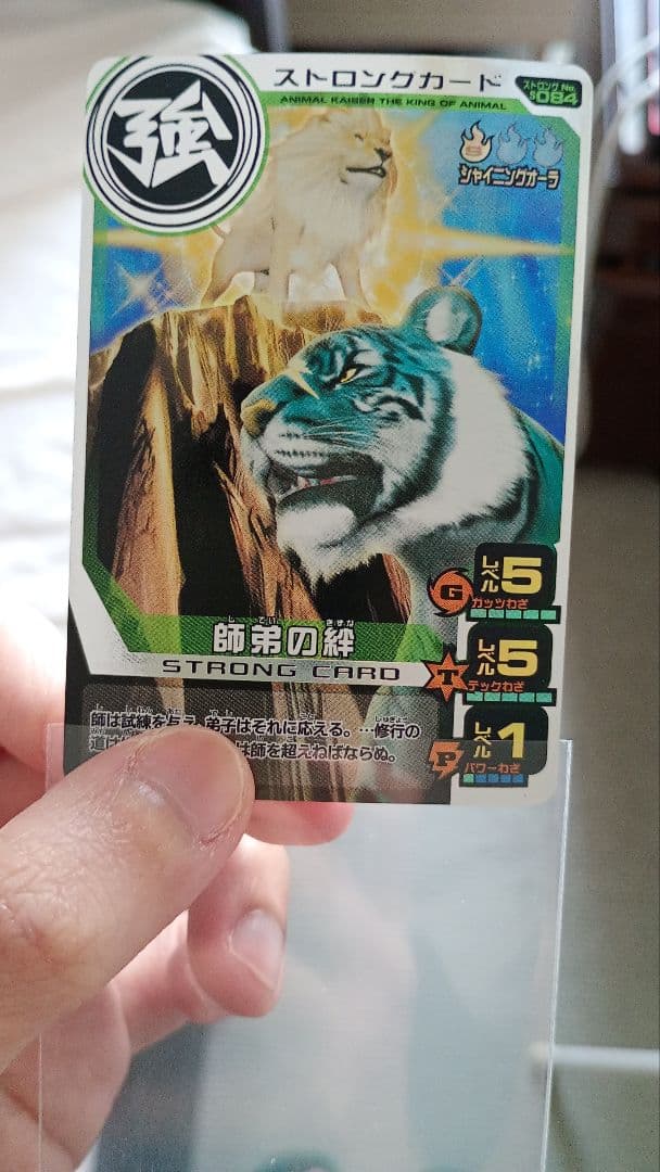 かなり希少！アニマルカイザー帰ってきたジーク＆ツキカゲまとめ売り