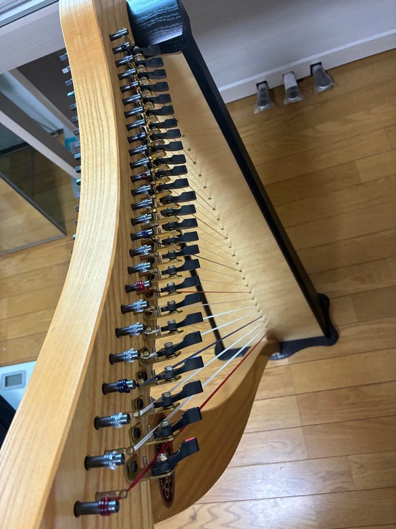 ハープ　ravenna26 ダスティストリングス