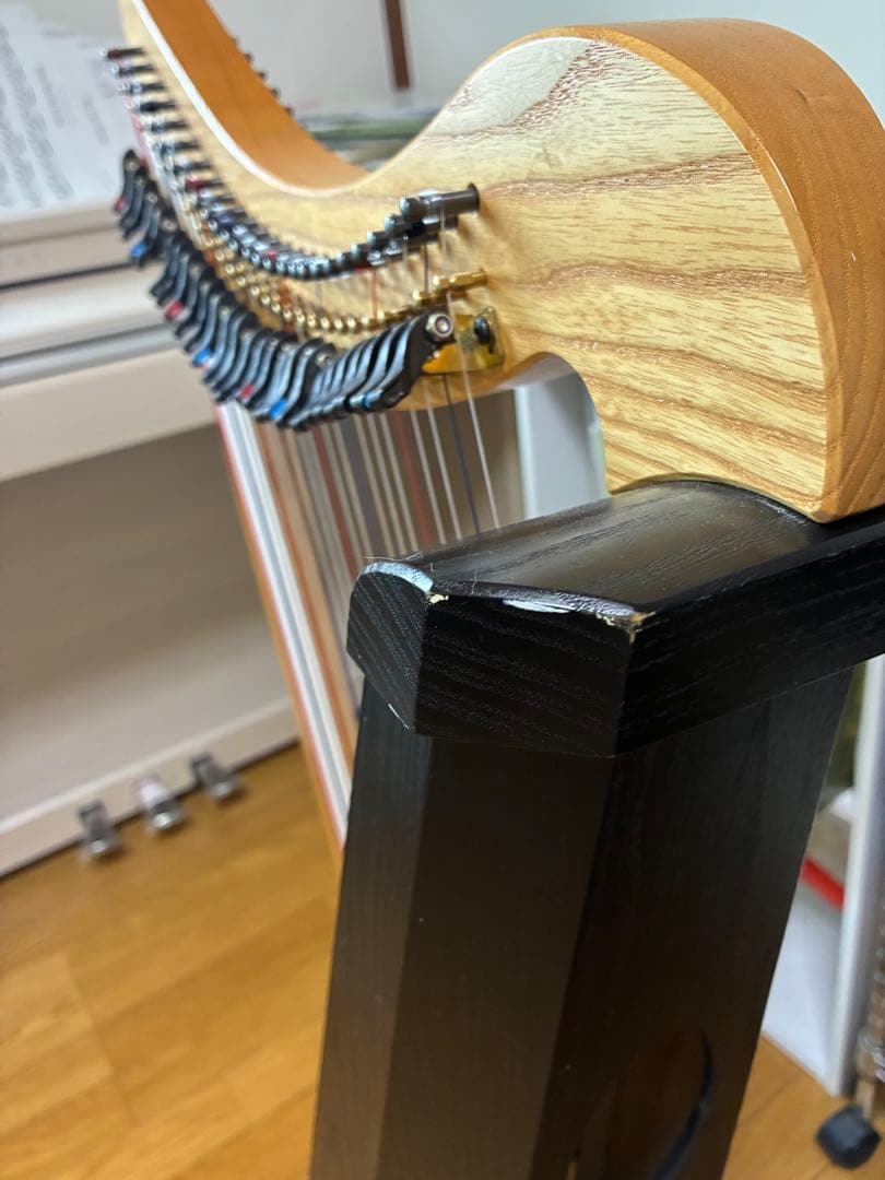 ハープ　ravenna26 ダスティストリングス