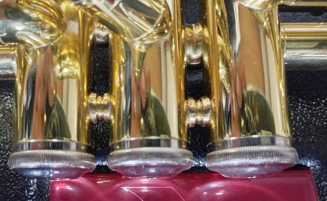 Vinent BACH TR-600 トランペット 本体　極美品！純正ケース付き