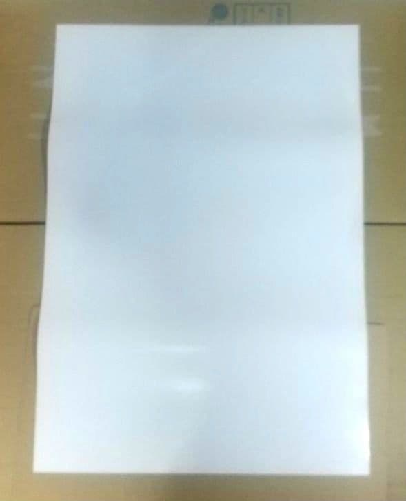 デビルサマナー 葛葉ライドウ 対 アバドン王 ポスター PS2 非売品 当時物