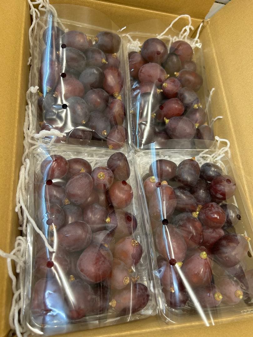 まこちゃん！！