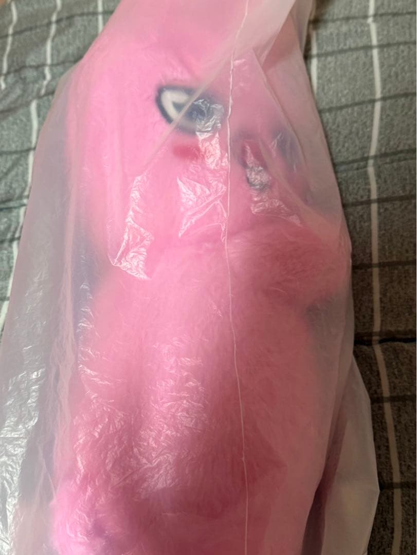 straykids celebrATE プラッシュバッグ トゥエッキ チャンビン