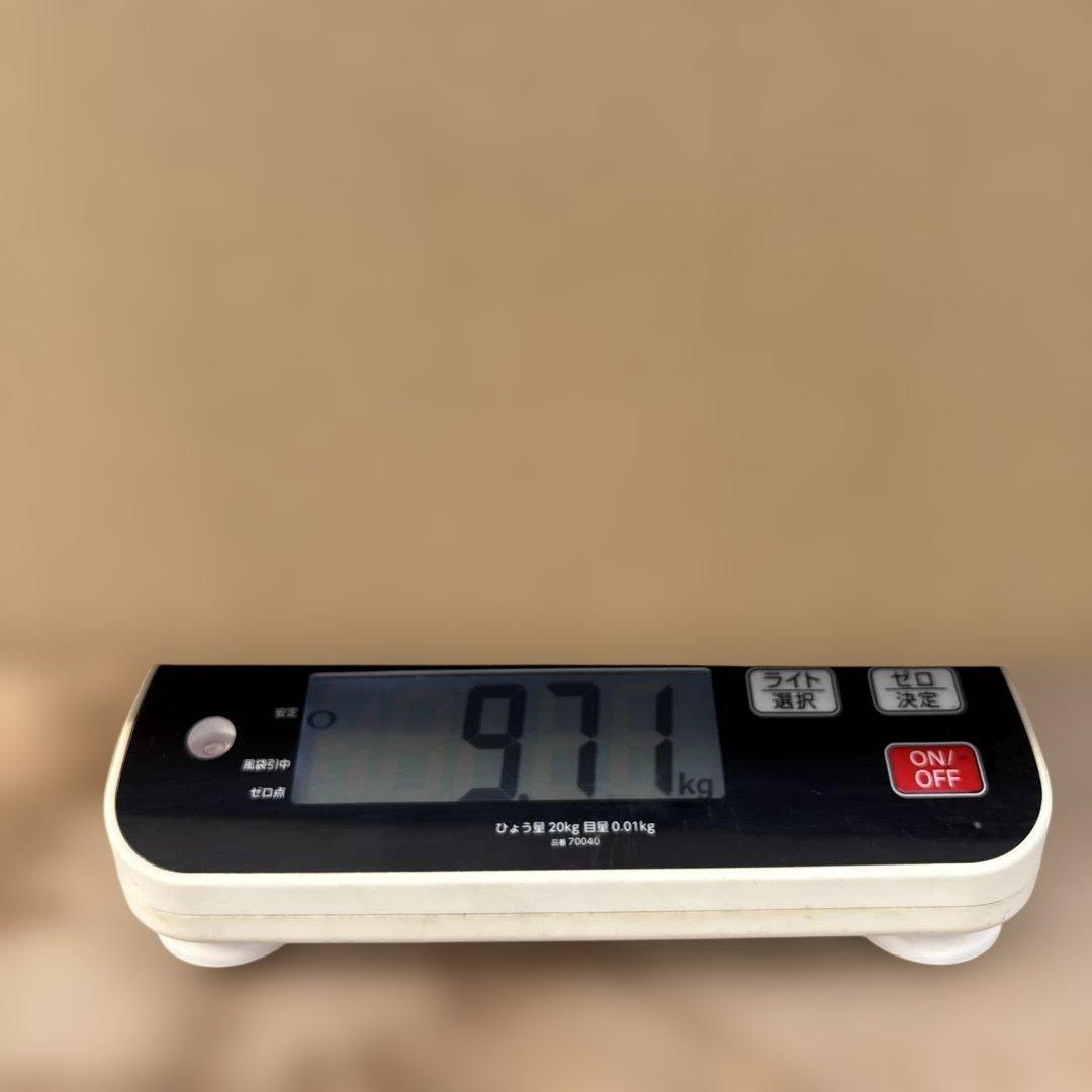 摘果マンゴー2/8❶