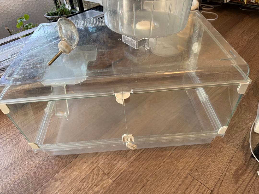 GEX グラスハーモニー600＋ステージ