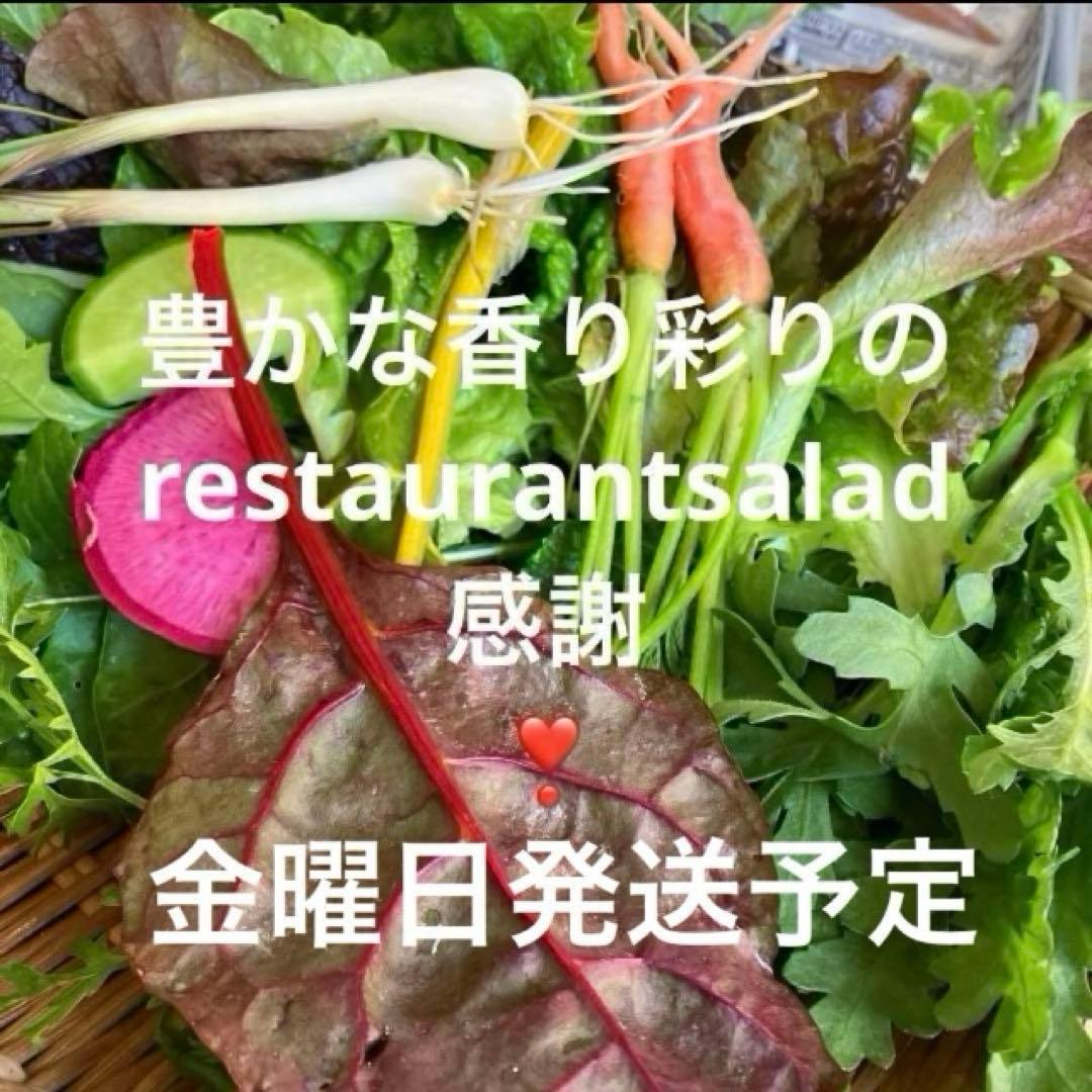 豊かな香り彩のrestaurant salad サラダ野菜詰合せ　金曜発送予定②