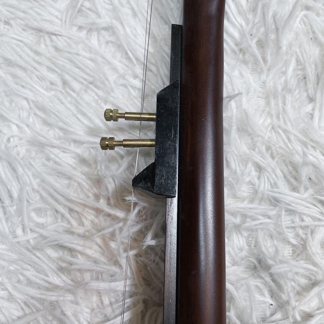 極美品　電気　ニ胡　エレキ　セミハードケース付き