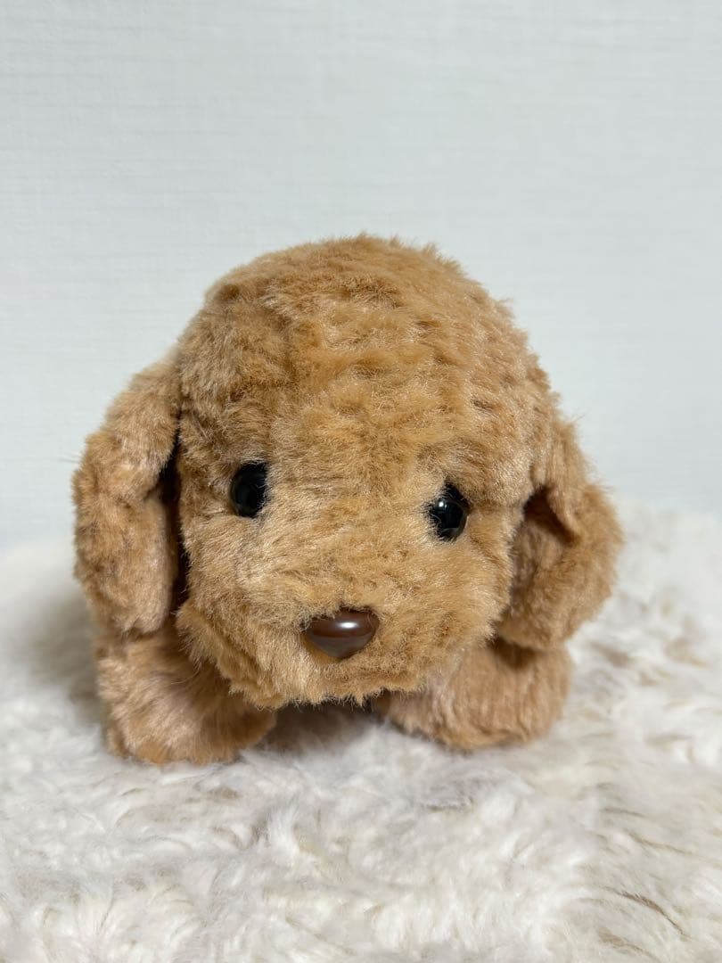 モンスイユ パプス ぬいぐるみ トイプードル　犬