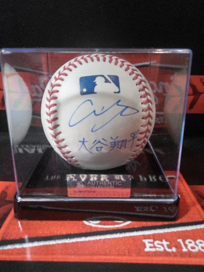 MLB試合球 大谷翔平　直筆サインボール　漢字サイン　MLB公式球　ケース付き