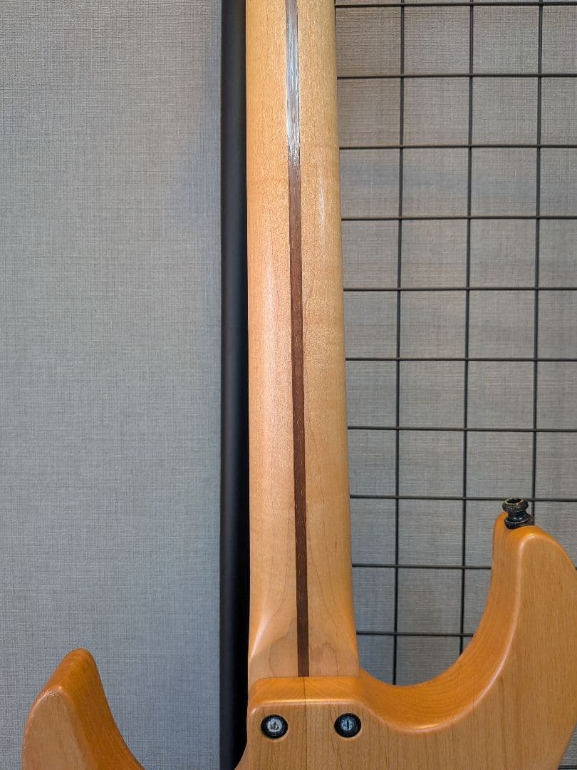 ギター Dragonfly Sottile 666 custom