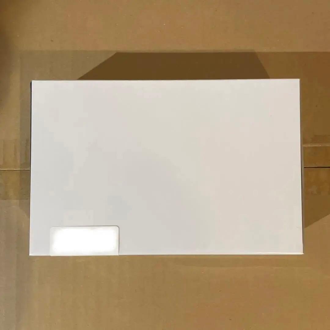 け*ぽ様 限定品 ポルノグラフィティ 25周年 SAILOR 万年筆 シルバー