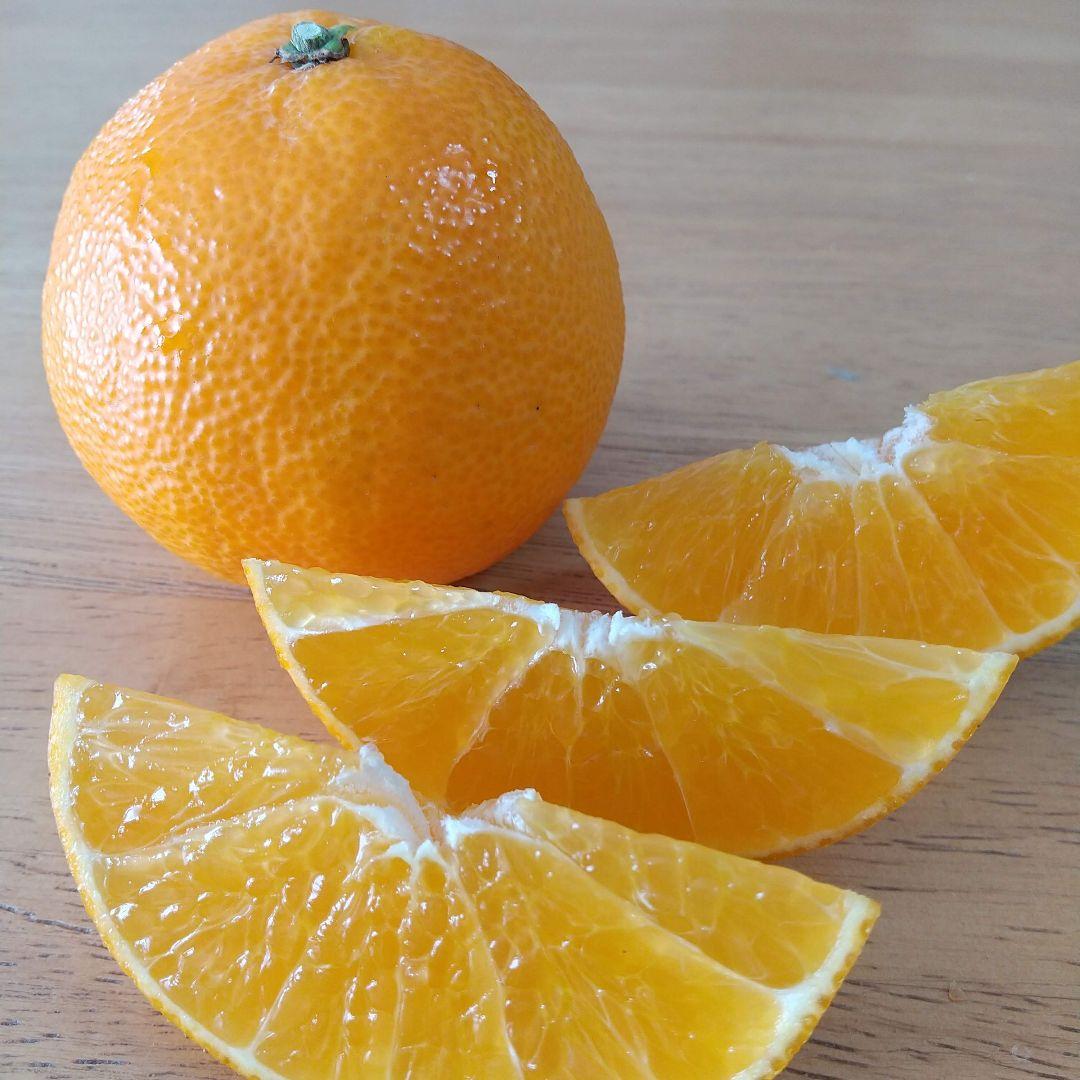 665愛果 まどんな 家庭用 10kg