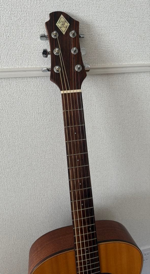 ポ*ズ様 【再出品】希少ケース付／ゼマイティス CAG-100HW-E アコギ