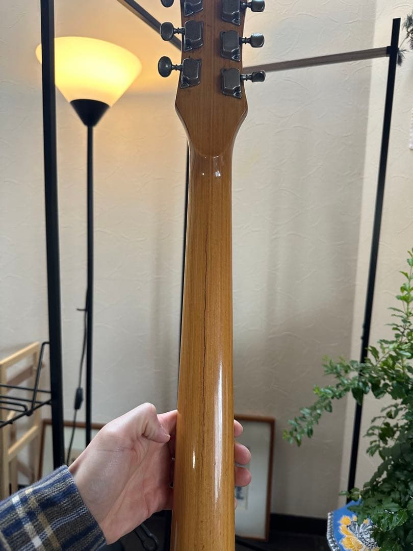 Moralesエレキギター VIBRA MATIC モズライトモデル