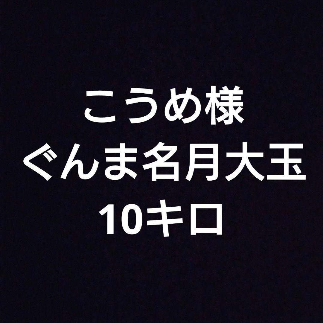 大玉10キロぐんま名月家庭用