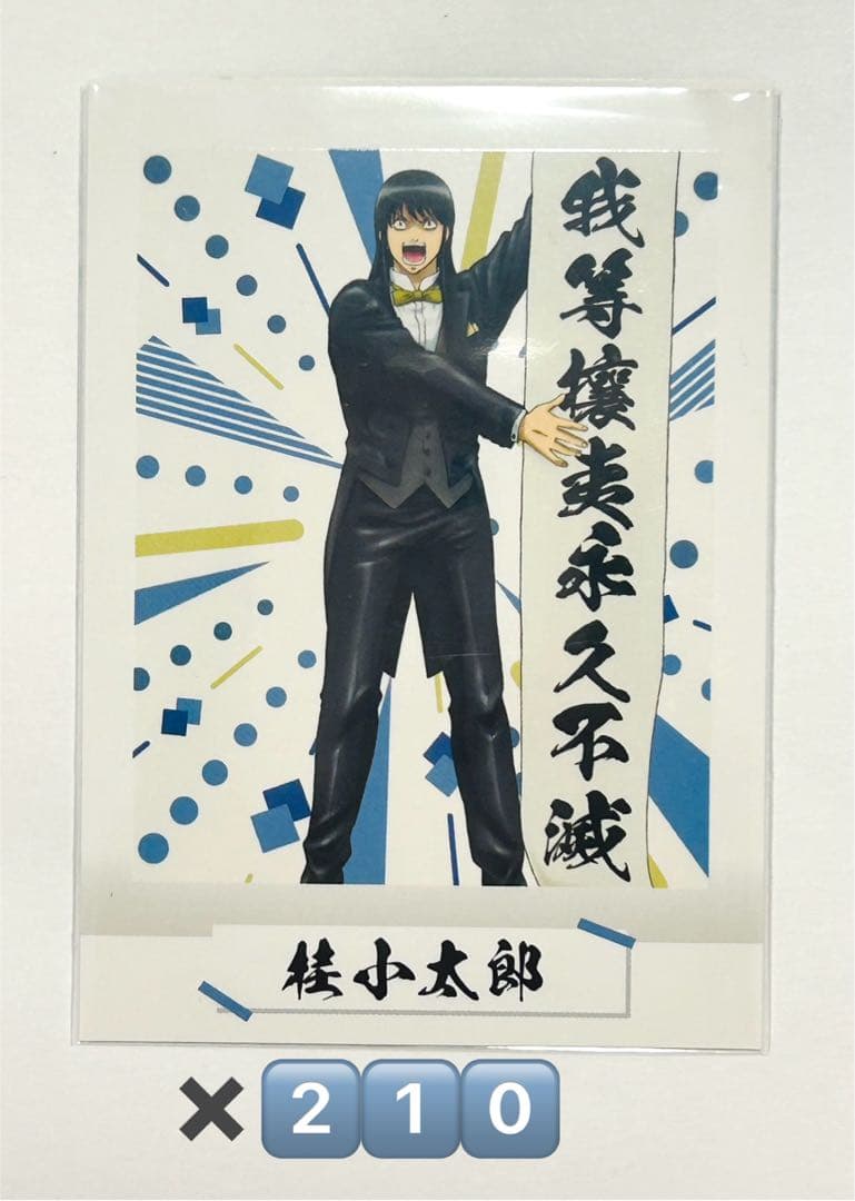 銀魂 桂小太郎 選挙 ぱしゃこれ 212枚 其ノ肆