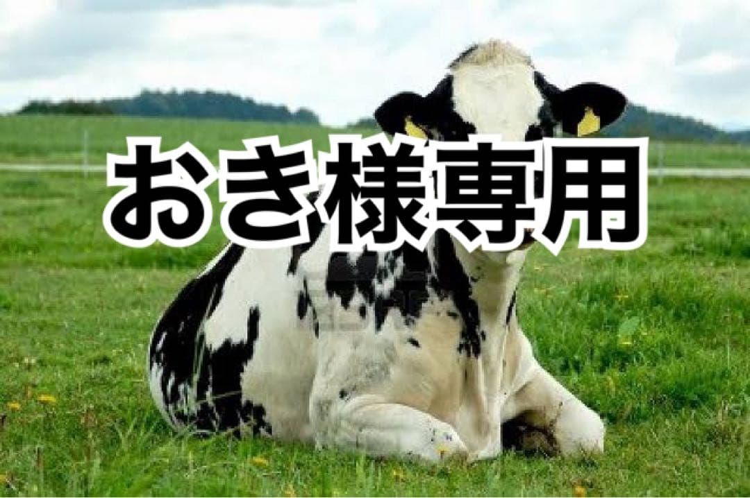 ピンク、イエロー、ホワイトへり各10m