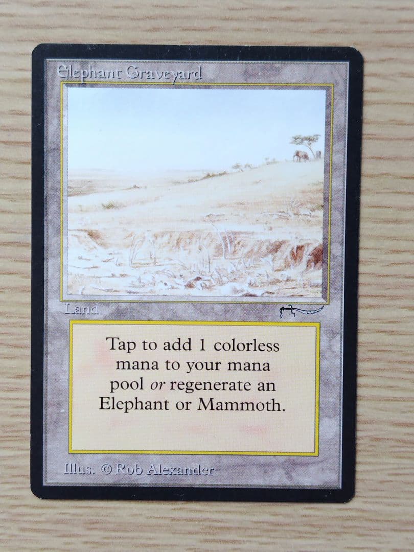 Elephant Graveyard 土地カード アラビアンナイト MTG
