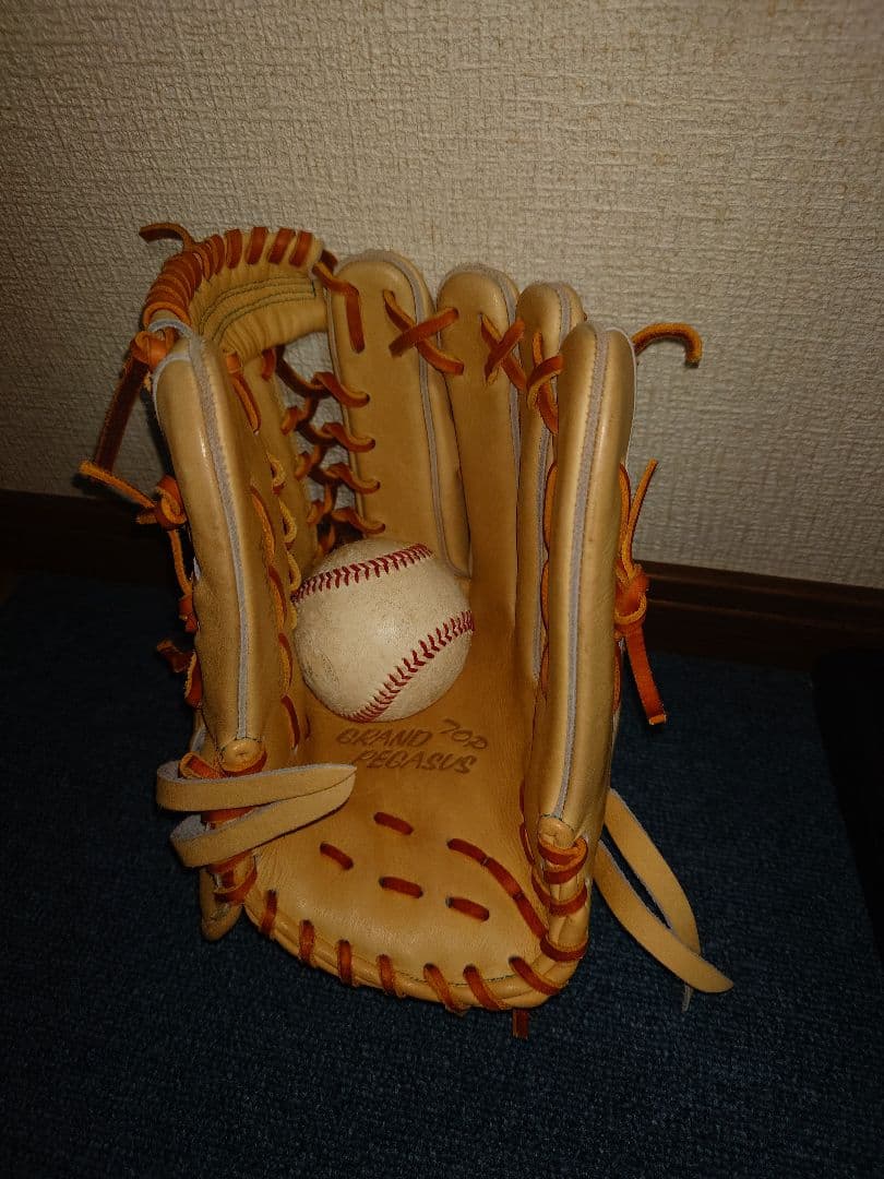 ワールドペガサス 軟式外野手用グローブ