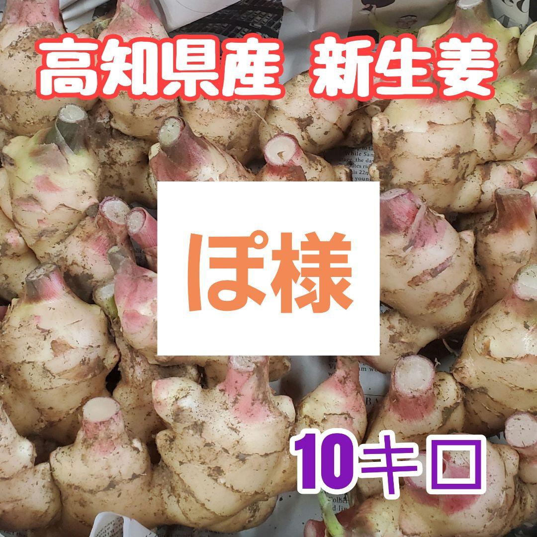 ぽ様土付き新生姜10kg