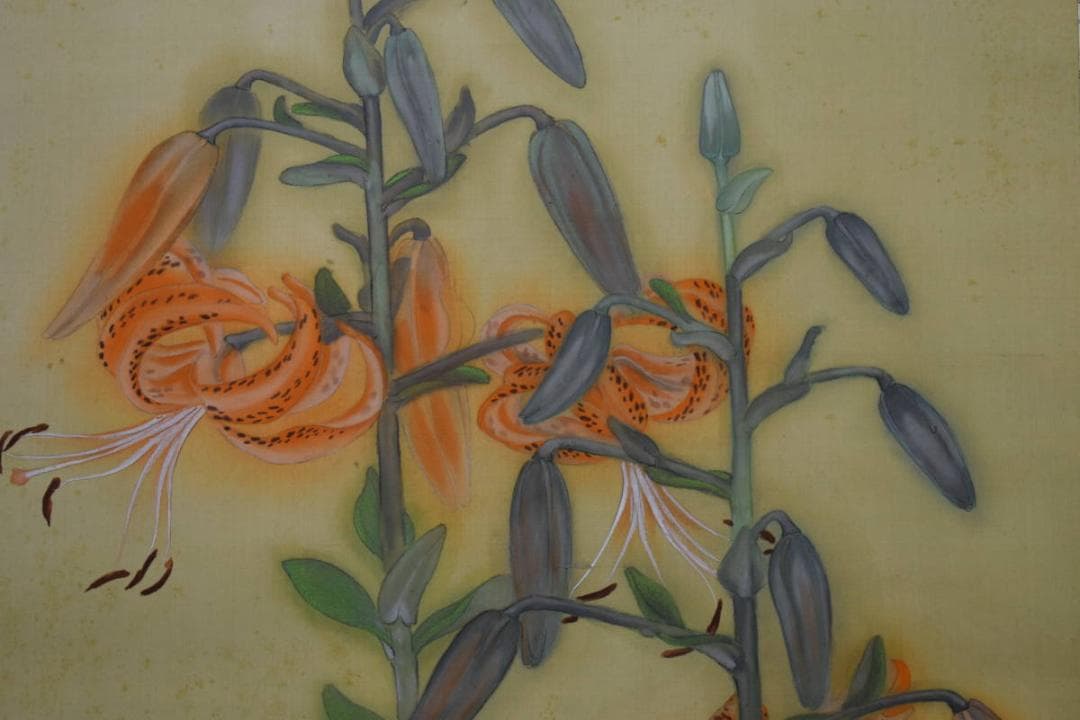 不詳/作者不詳/鉄砲百合/ユリ図/布袋屋掛軸HG-343