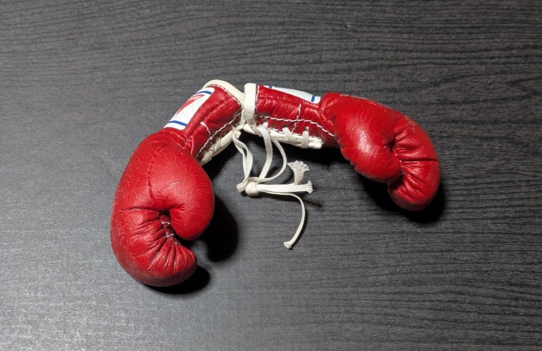 ボクシング マスコットグローブ レパード玉熊×アルバレス