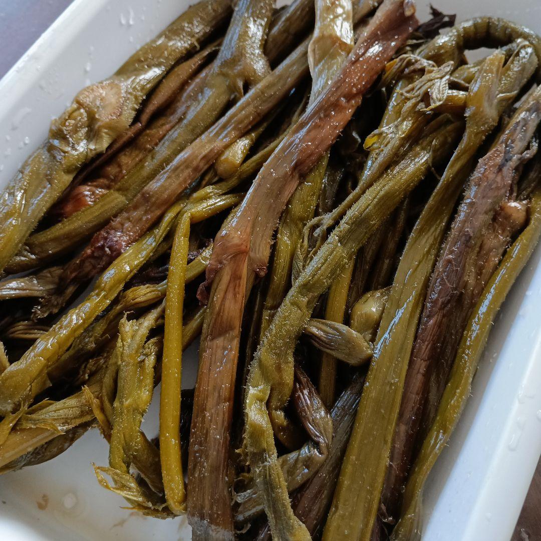 秋田県産ウド塩蔵★ウド塩蔵500g20袋