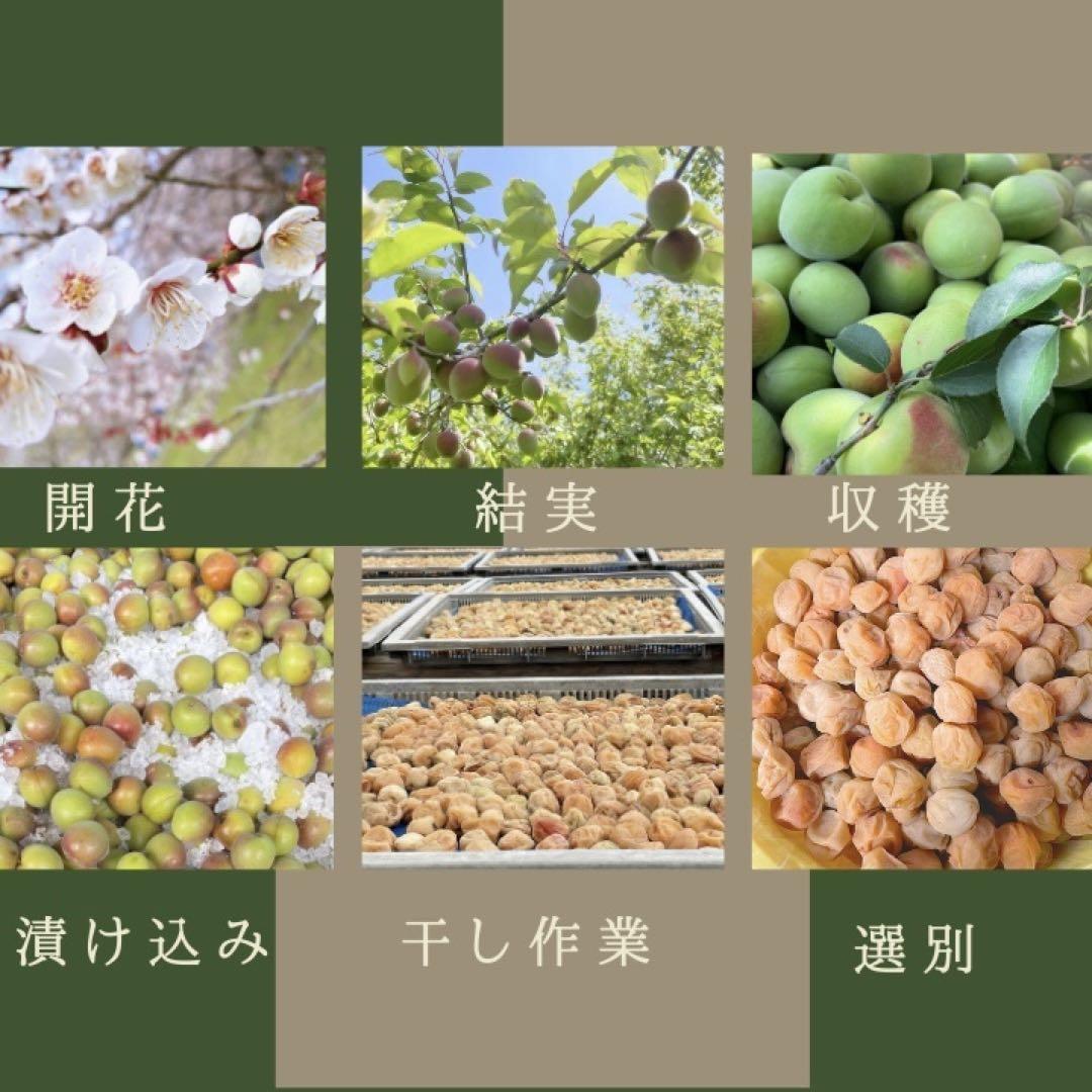 【訳あり】はちみつ梅干し1kg×3紀州南高梅 和歌山県産 農家直送