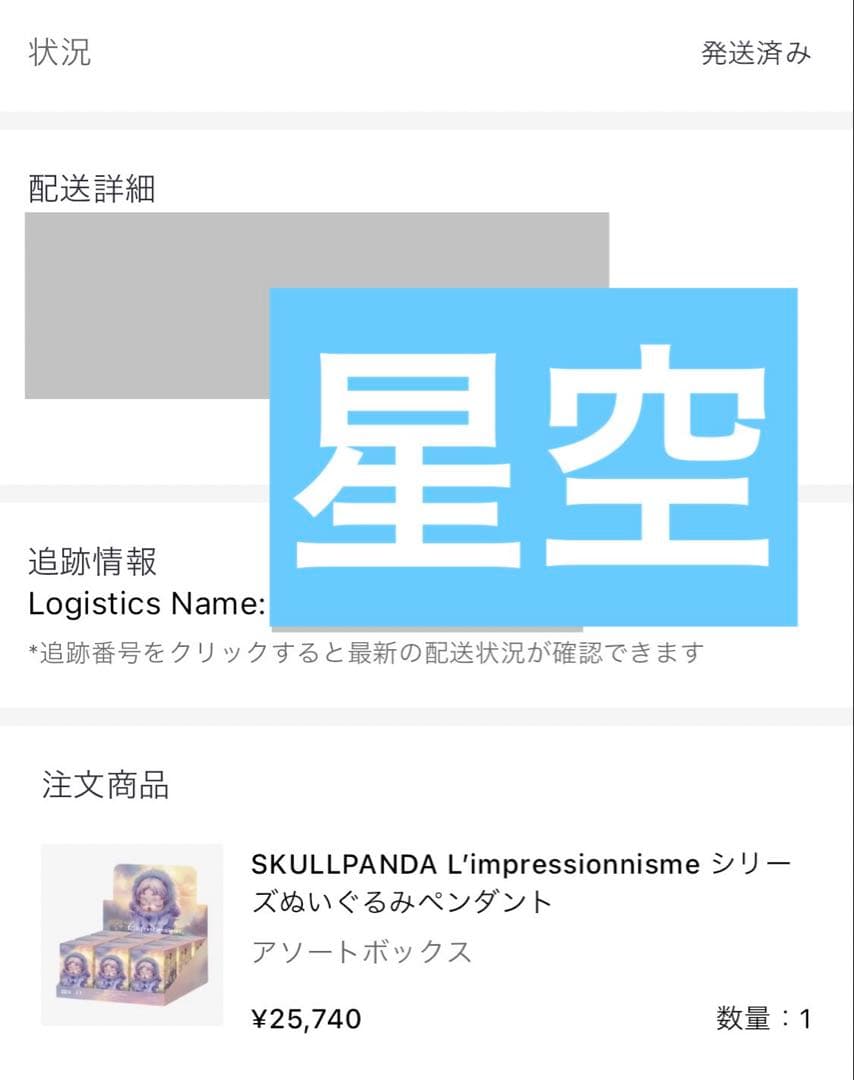 SKULLPANDA スカルパンダ POPMART 2点セット