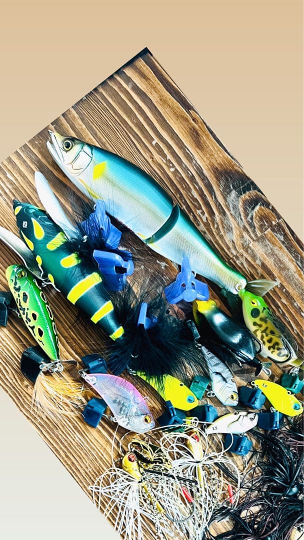 【レア品有り】新品未使用 レイドジャパン ルアー20点セット☆お買い得です♪