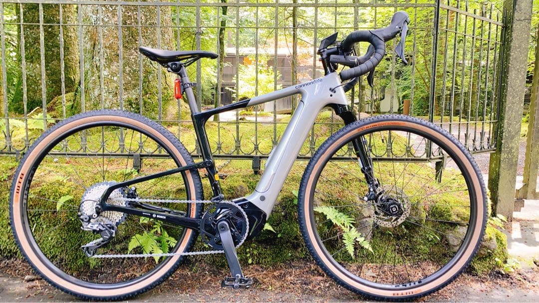 稀少CANNODALE e-bike TOPSTONE Carbon lefty