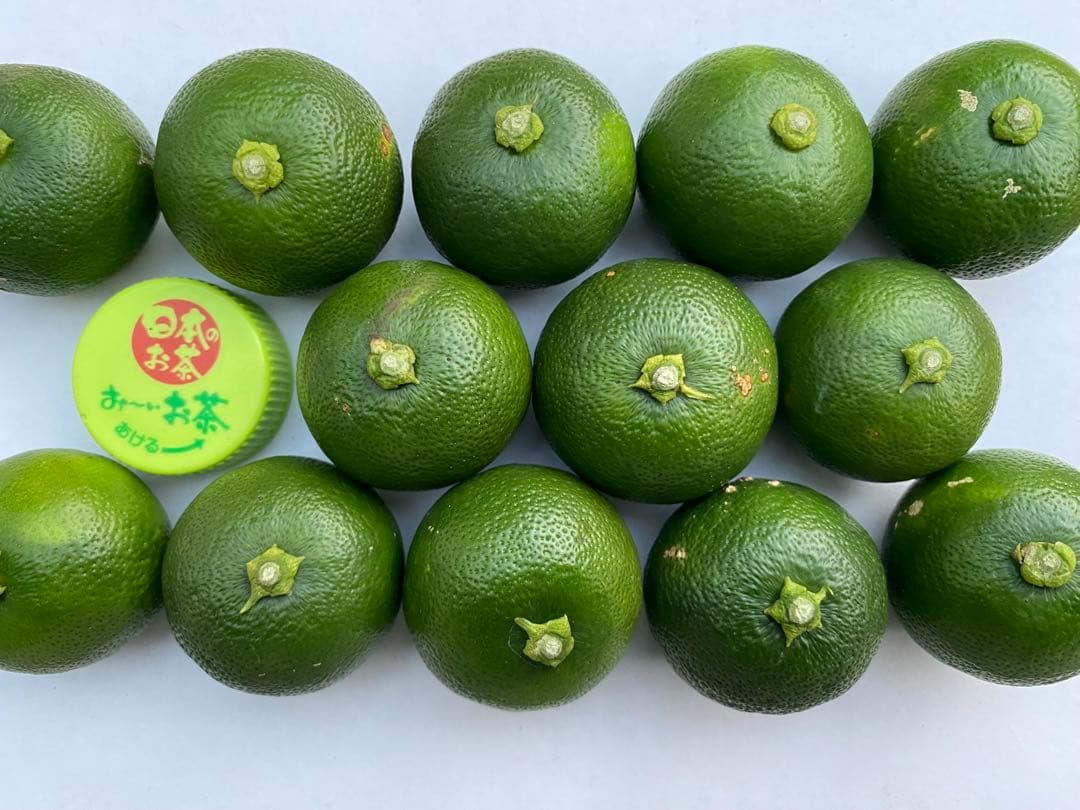 徳島県神山町産　《冷蔵貯蔵すだち》 綺麗なLサイズ　4キロ　　②