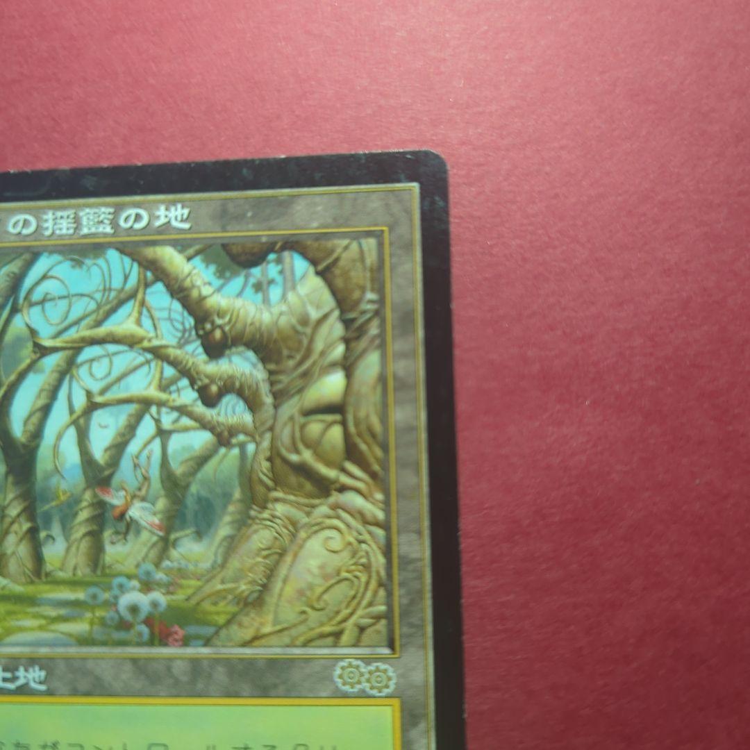 MTG　ガイアの揺籃の地　Gaea's Cradle　USG　日本語版