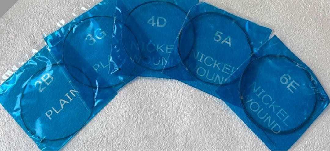 BUSKER'S エレキギターフェンダーのストラップ➕ソフトケース➕替えの弦