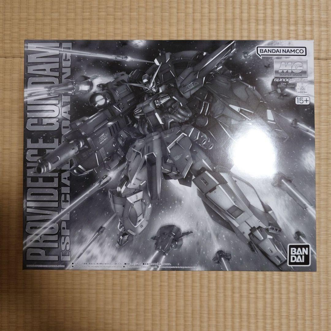 新品未組立　ＭＧ 1/100 プロヴィデンスガンダム [スペシャルコーティング]