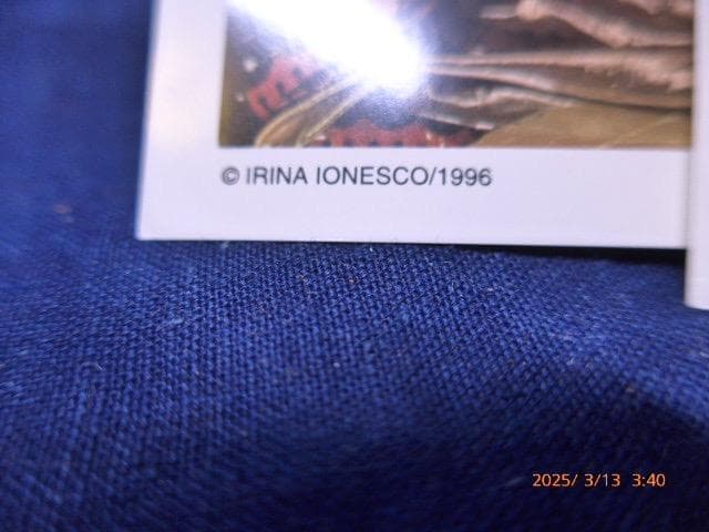 12/13〜14は対応・返信不可　貴重イリナ・イオネスコの絵葉書５点ほか