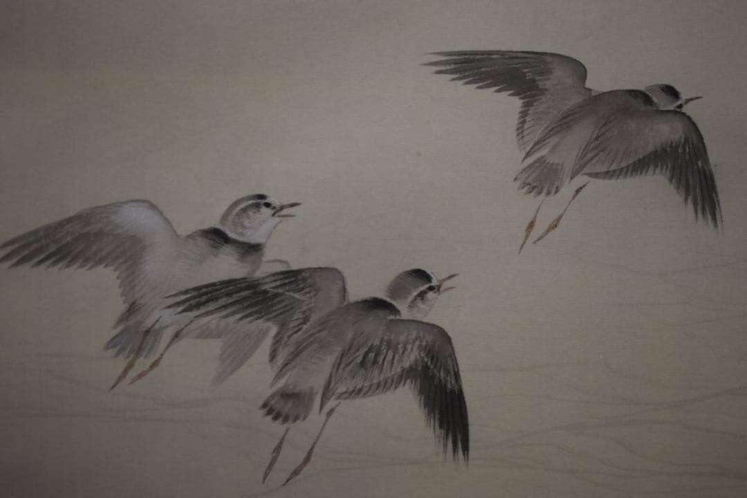 真作/渡辺公観/月波に千鳥図/布袋屋掛軸HG-119