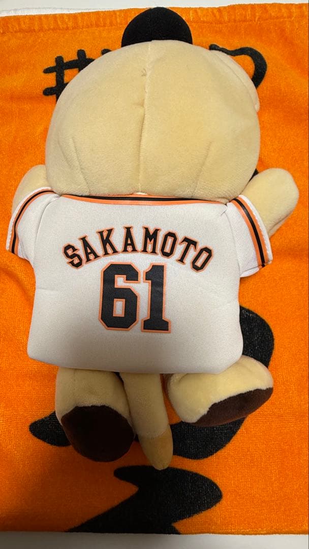 ライオンハヤトセット