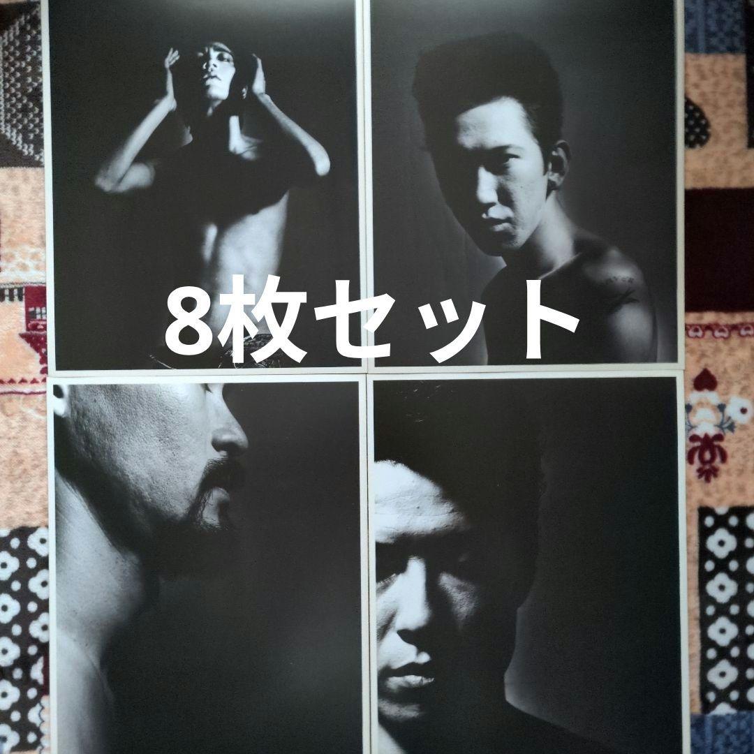 BOOWY　氷室京介　布袋寅泰　ポスター8枚セット　LAST GIGS 松井常松