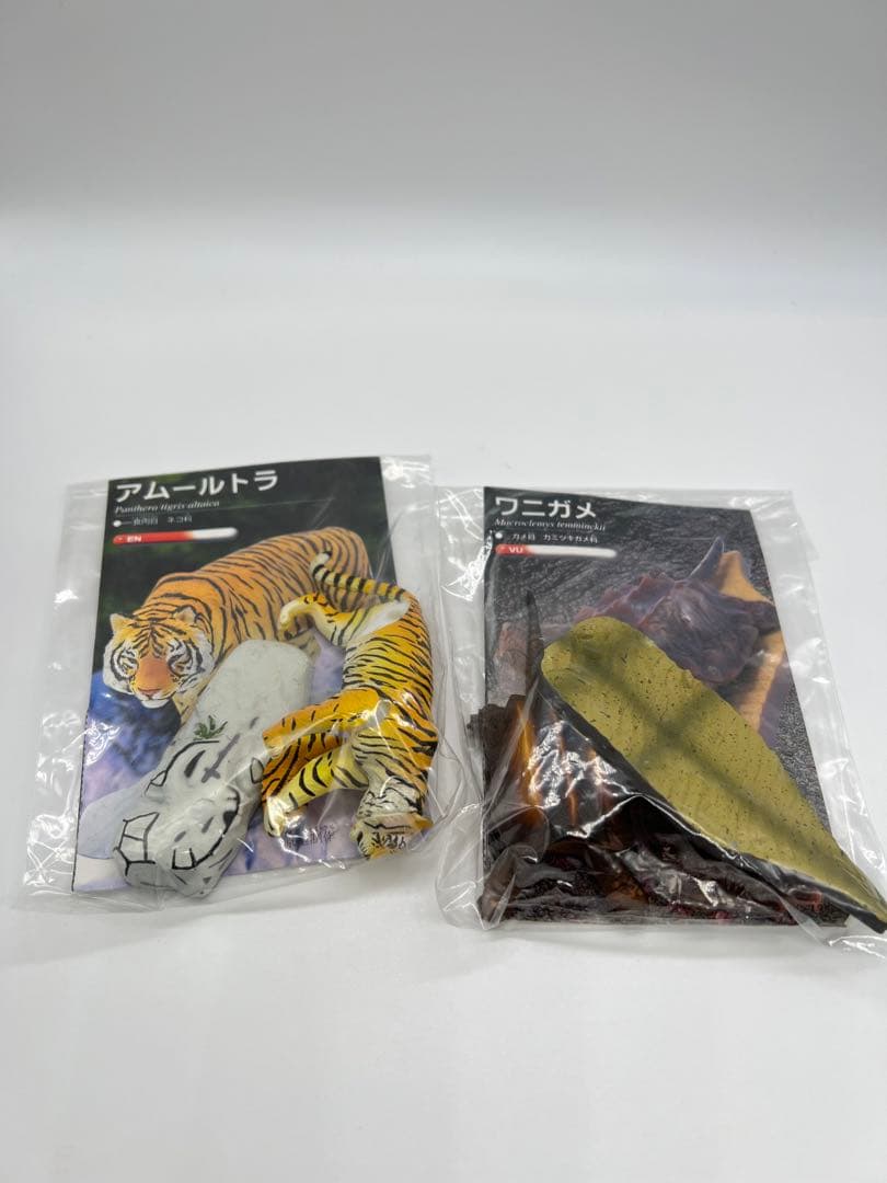 レッドデータアニマルズ