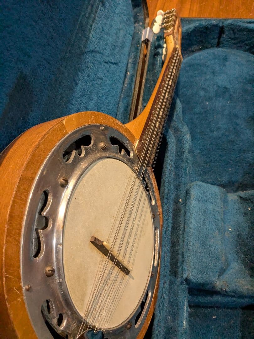 バンジョーマンドリン