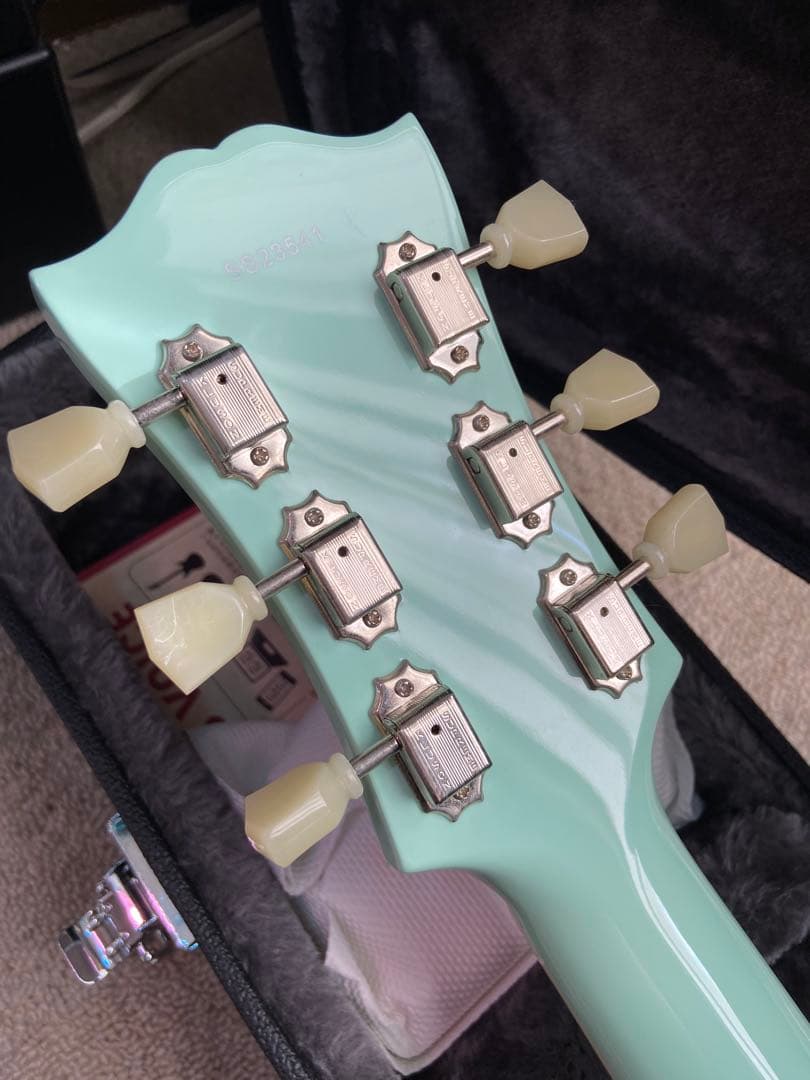 Seventyseven Exrubato Zebra Finch セミアコ