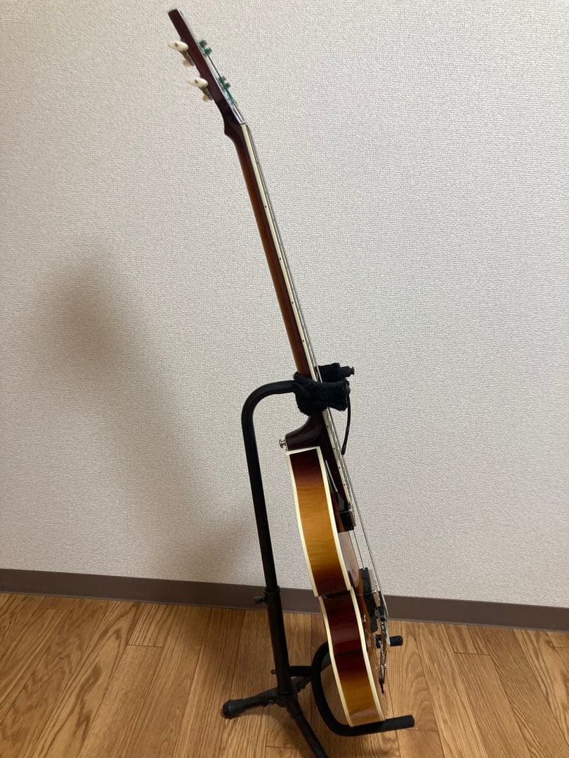 Höfner ヘフナー ヴァイオリン ベース HCT-500/1-SB