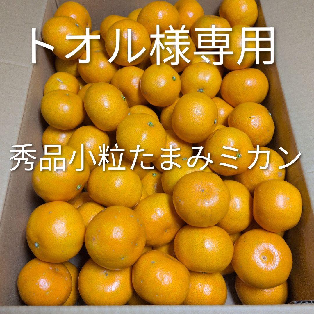 トオル　瀬戸田産　小粒たまみミカン＆レモン＆花柚子　箱込み15kg