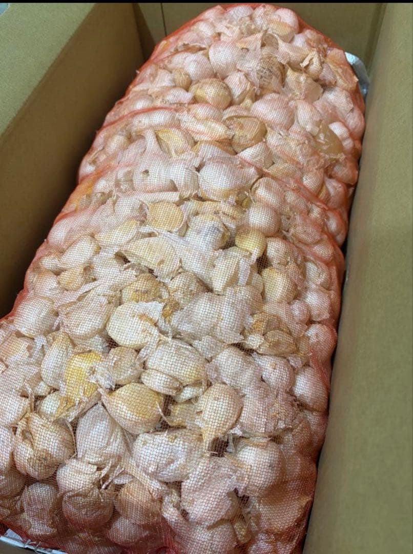 青森県産にんにく　バラ　大中小　１０ｋｇ