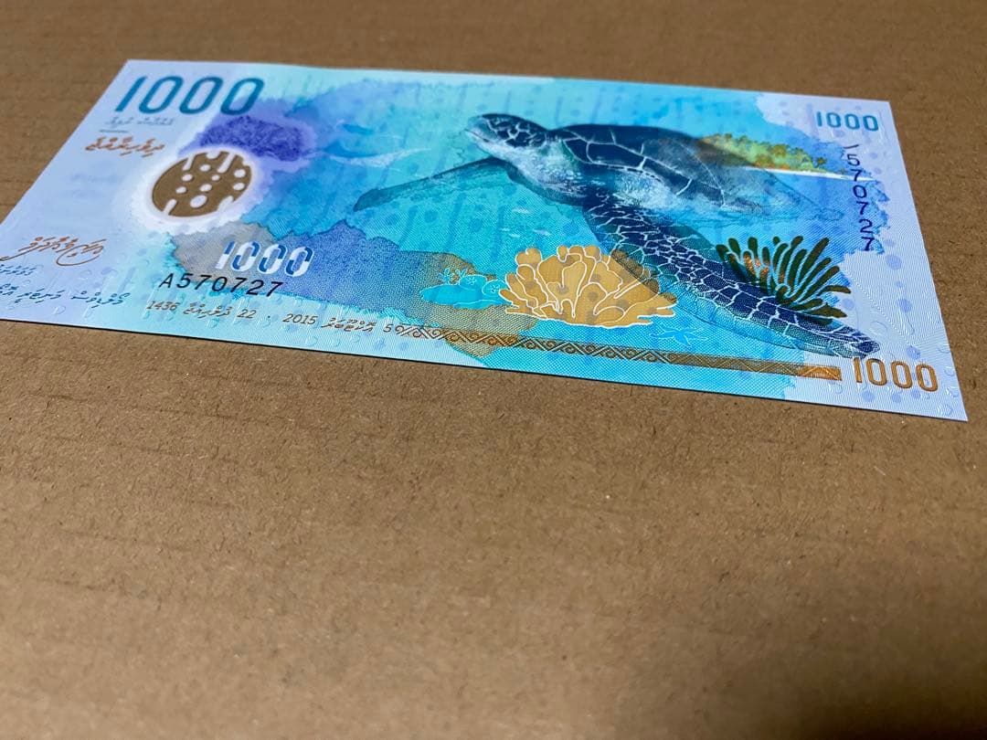 モルディブ 1000ルフィヤ