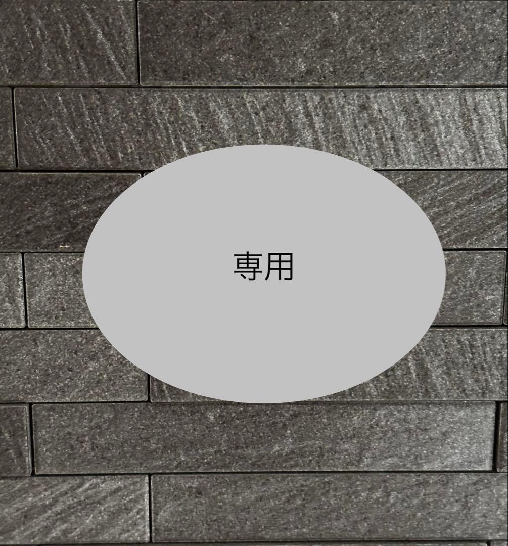 【専用】　チェキ3枚＋α